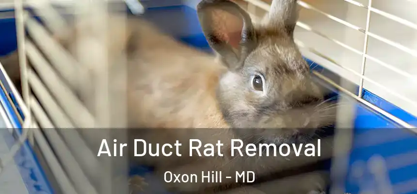  Air Duct Rat Removal Oxon Hill - MD
