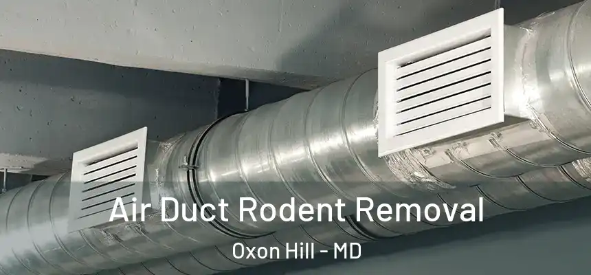  Air Duct Rodent Removal Oxon Hill - MD