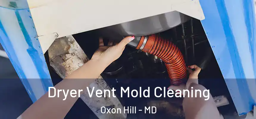  Dryer Vent Mold Cleaning Oxon Hill - MD