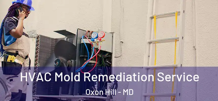 HVAC Mold Remediation Service Oxon Hill - MD