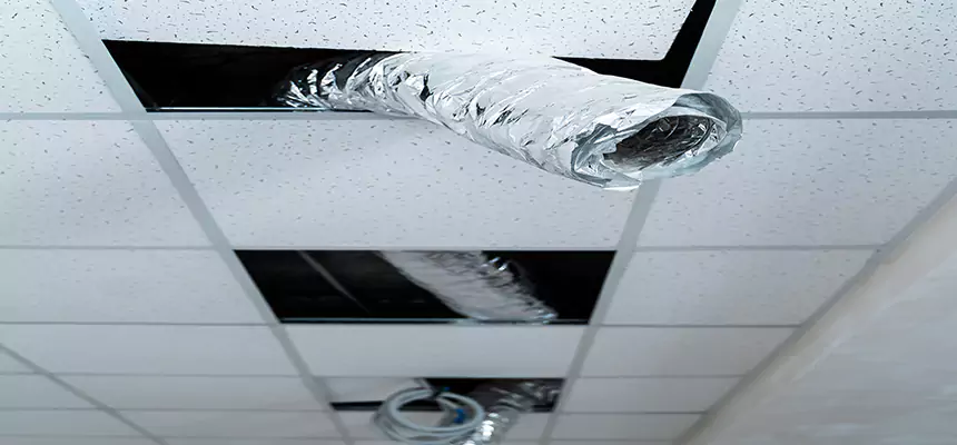 Our Air Duct Pet Hair Removal Services in Oxon Hill, MD