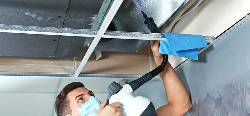 Our Air Duct Rodent Removal Services in Oxon Hill, MD