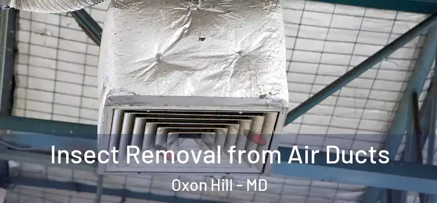  Insect Removal from Air Ducts Oxon Hill - MD