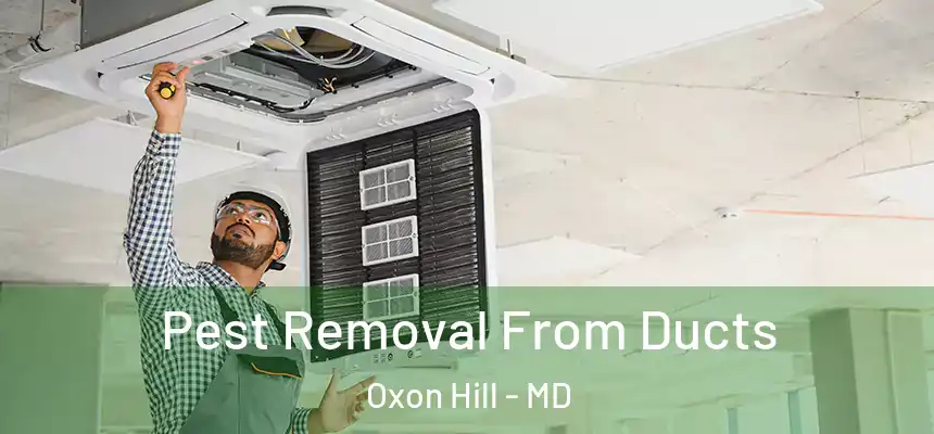  Pest Removal From Ducts Oxon Hill - MD