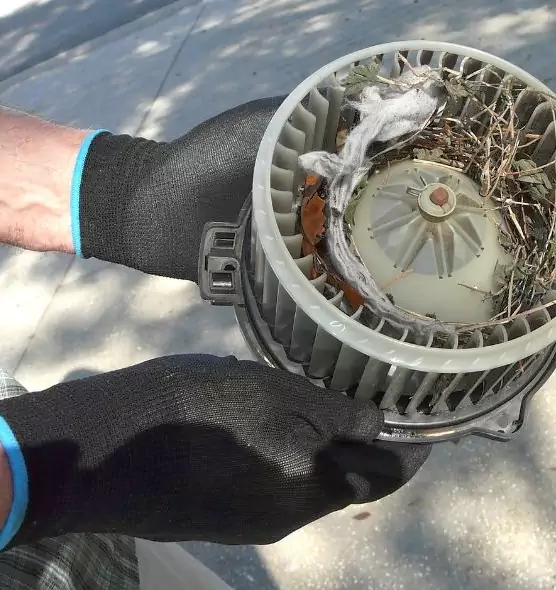 About Air Duct Mice Removal in Oxon Hill, MD