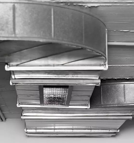 Professional Air Duct Pest Removal in Oxon Hill, MD