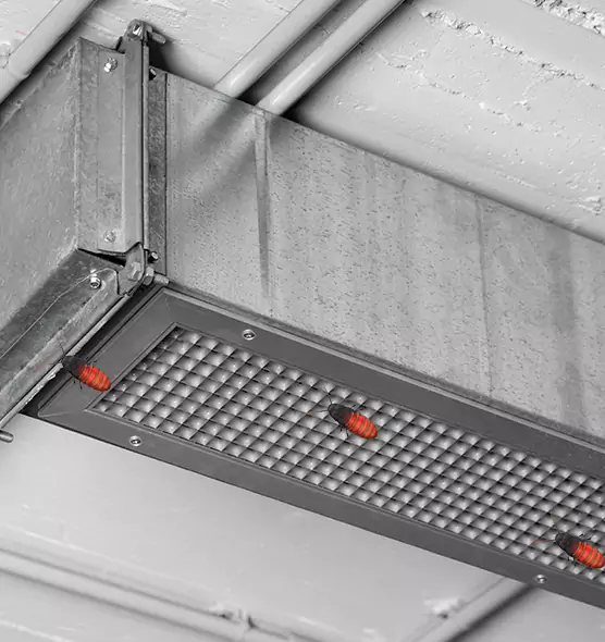 Affordable Insect Removal from Air Ducts in Oxon Hill, MD