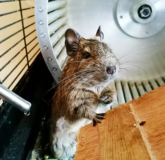 Why Homeowners & Businesses Trust Us Oxon Hill, MD